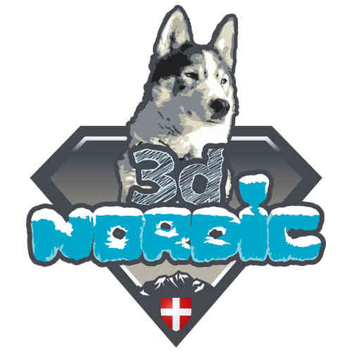 logo 3d nordic