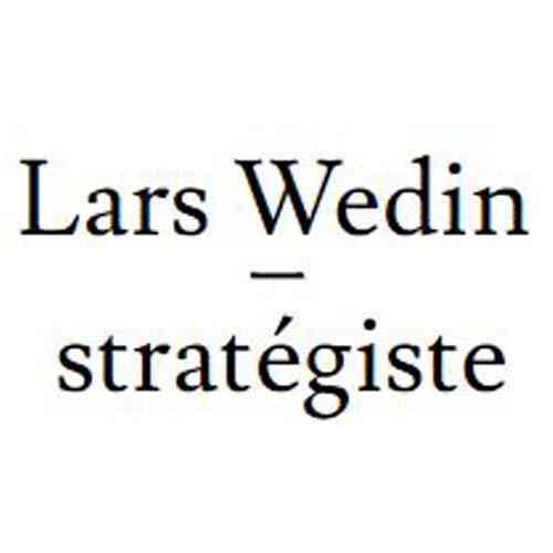 logo wedin strateg