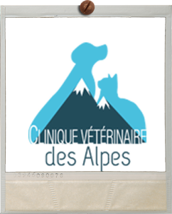 Polaroïd Clin vet des alpes