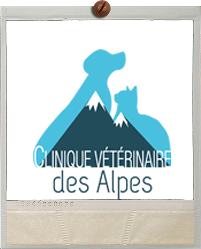 Polaroïd Clin vet des alpes