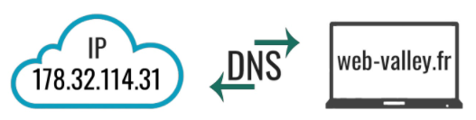 DNS